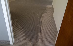 Flood Damage – How to Save Your Carpets